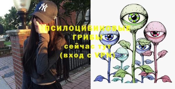 дурь Белокуриха